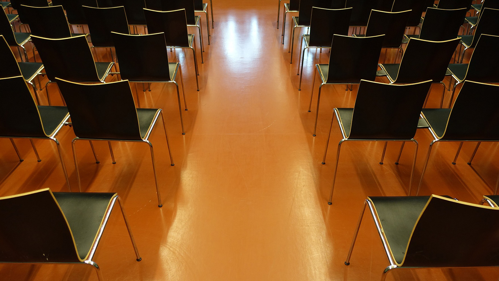 Mitgliederversammlung in Steinheim: Wahlen, Kassenbericht und Jahresrückblick bei der Karnevalsgesellschaft